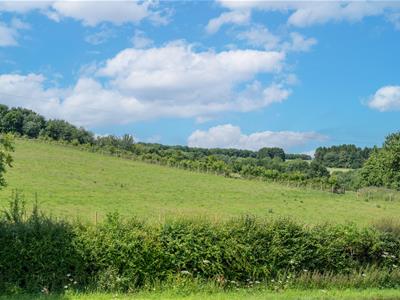 Picture 29